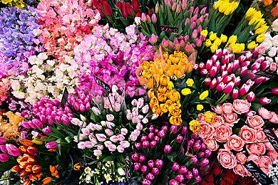 《上行战场》新DLC“赛博大盗”公布 8月19日发售