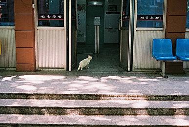 《灵魂骇客2》媒体评分解禁 Metacritic站均分77