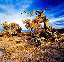 《自杀小队：杀死正义联盟》开发商再次裁员