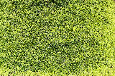 《九十六号公路：零号里程》前14分钟实机 4月4日发售